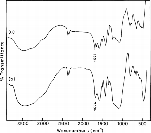 FIG. 1 FTIR spectra of (a) chitosan phthalate microspheres and (b) chitosan microspheres.
