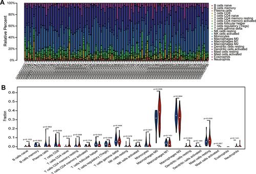 Figure 6 Analysis of immune infiltration. (A) 22 immune cell components were evaluated in the combined OS dataset (n = 106) using CIBERSORT. The X-axis and Y-axis indicate the sample and percentage, respectively; the colour represents the type of immune cell. (B) The varied proportions of 22 kinds of immune cells in non-metastatic and metastatic OS samples. Red represents the metastatic OS samples and blue represents the non-metastatic OS samples.