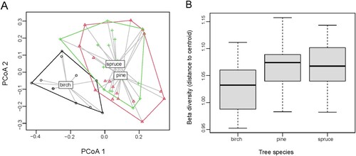 Figure 3. Total beta diversity (presence-absence-based) of beetle communities collected from three tree species: spruce, pine and birch. A – compositional differences illustrated by PCoA; B – beta diversity measured as distance to centroid in each dead wood type; median values (black line), 25th and 75th percentile (boxes), and minimum/maximum values (whiskers) are shown. Beta diversity ( = distance to centroid) did not differed significantly between tree species (ANOVA: F = 1.11, p = 0.35).