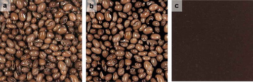 Figure 4. Original and preprocessed images of canned black beans and brine. A: Original color image after draining and washing, B: segmented beans from the original image (with black background), and C: brine.
