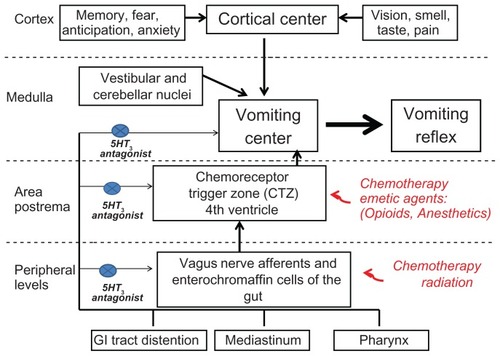 Figure 1 Schematic representation of the mechanisms of emesis associated with chemotherapy-induced and postoperative nausea and vomiting.