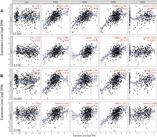 Figure 5 Scatterplots of correlation analysis between KDM5A/B/C/D and immunological markers of Treg (STAT5B) (B) and Th17 (STAT3) (A) cells in LUAD and LUSC using TIMER.