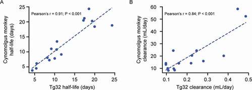 Figure 4. Correlation of antibodies’ (a) elimination half-lives and (b) clearance between homozygous Tg32 mice and cynomolgus monkeys