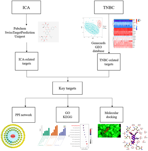 Figure 1 The flowchart of Network pharmacology in this study.