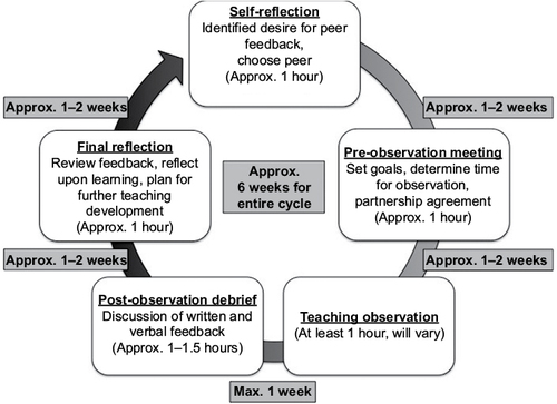 Figure 1 Peer and self-assessment of teaching process cycle.