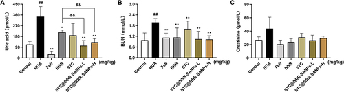 Figure 8 Effects of STC@BBR-SANPs on (A) uric acid, (B) BUN and (C) creatinine in PO/HX-induced HUA mice. ##P < 0.01 compared with control group; *P < 0.05 and **P < 0.01 compared with HUA group; &&P < 0.01 compared with BBR group (n = 8).