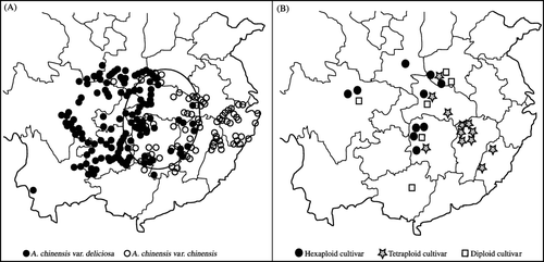 Fig. 1  A) Natural distribution of Actinidia chinensis var. chinensis (open circles) and A. chinensis var. deliciosa (solid circles) in China (according to Li et al. Citation2007). Each point denotes a collection site of a herbarium specimen and the area in which the two species overlap is circled by a solid line. B) Localities where the main kiwifruit cultivars in China were selected.