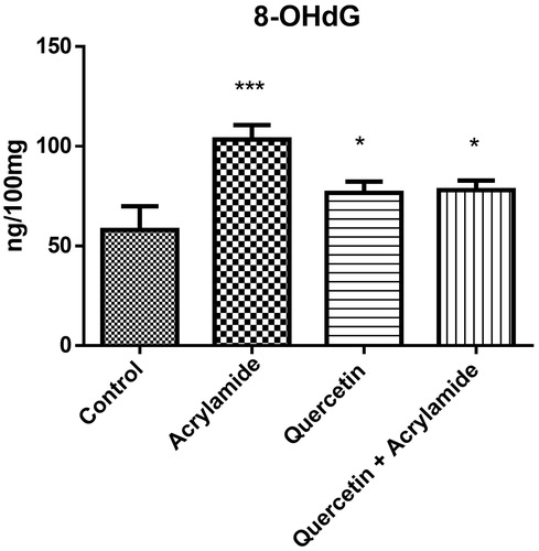 Figure 4. Effects of quercetin and acrylamide treatment on 8-hydroxyguanine levels in the cerebral cortex of Wistar rats. Enzyme activity is expressed as ng/100 mg (n = 6). *p < 0.001 when compared to control group, ***p < 0.0001 when compared to control group (independent samples t-test between the control and the treated groups in brain). There was found significant difference between ACR alone and quercetin+ACR group showing the partial protection in quercetin+ACR group.