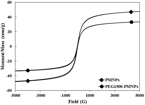 Figure 8. The magnetization curves of PMNPs and PEG1500-PMNPs. In spite of a significant increase of their size, the coercivity values of both PMNPs and PEG1500-PMNPs were near to zero.