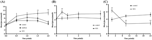 Fig. 5. Effect of SCS administration on blood glucose level.