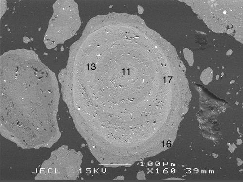 Figure 8 Oolith from the Jacaranda pit, Andoom (ANU 46580) with Fe2O3 wt% (anhydrous) shown across the oolith. Variation in grey scale relates to variation in both Fe2O3 and porosity.