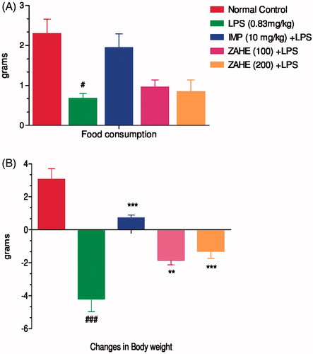 Figure 2. Effect of ZAHE pretreatment in LPS challenged animals on: (A) changes in body weight and (B) food consumption after 24 h LPS administration on day 15. Values represent the mean ± SEM. (N = 6 animals/group). ###p < 0.001, ##p < 0.01, #p < 0.05 compared with normal control. *p < 0.05; **p < 0.01; ***p < 0.001 compared with LPS-challenged group.