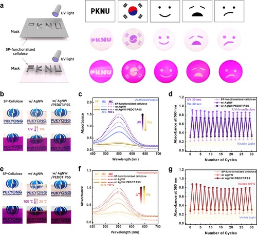 Figure 2. (a) On-demand UV-induced photopatterning of cellulose/SP films with various designed patterns. (b) Photographs, (c) absorbance spectra, and (d) absorbance changes for non-conductive, AgNW-based, and AgNW/PEDOT:PSS-based films, showing reversible photo switching. (e) Photographs, (f) absorbance spectra, and (g) absorbance changes for non-conductive, AgNW-based, and AgNW/PEDOT:PSS-based films, showing reversible thermal switching.