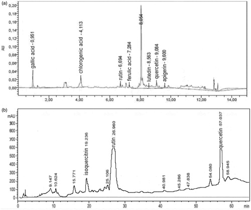 Figure 1. Chromatograms of the ethanolic extract (a) and fraction B (b) of H. connatum. (a) UPLC chromatogram of the ethanolic extract of H. connatum. (b) RPHPLC chromatogram of fraction B of the ethanolic extract of H. connatum and identification of potential active compounds, quercetin, rutin and isoquercitrin. Retention times are expressed in min.