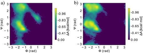 Figure 4. Free energy surface of GYG peptide along dihedral angles (Ramachandran plot) from [Citation38]. (a) EDS and enhanced sampling with PT-WTE and (b) no EDS and no enhanced sampling. The difference between panels (a) and (b) shows that EDS changes the global free energy minimum, which better matches data from [Citation41], and PT-WTE improves sampling based on explored regions. Republished with permission of World Scientific Publishing Co., Inc., from Combining enhanced sampling with experiment-directed simulation of the GYG peptide, Amirkulova DA and White AD, 17, 3 and 2018; permission conveyed through Copyright Clearance Center, Inc.