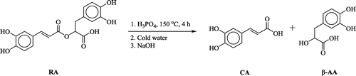 Scheme 1. Isolation of caffeic acid (CA) from rosmarinic acid (RA).