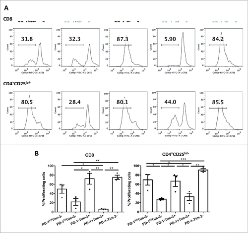 Figure 3. PD-1intTim-3− and PD-1−Tim-3+ effector TIL retain significant proliferative potential. Sorted TIL subsets from HNSCC patients (n = 3) were rested overnight, labeled with CFSE and then stimulated with anti-CD3/CD28 microbeads (bead:cell = 5:1) for 4 d. Dilution of CFSE was then measured by flow cytometry. (A) Representative figures showing dilution of CFSE of each subset after 4-d stimulation. (B) Summary data showing percentage of proliferating cells (CFSElow cells) in each TIL subset. Statistical significance was determined by RM One-way ANOVA analysis followed by multiple comparisons. *p < 0.05, **p < 0.01, ***p < 0.001.