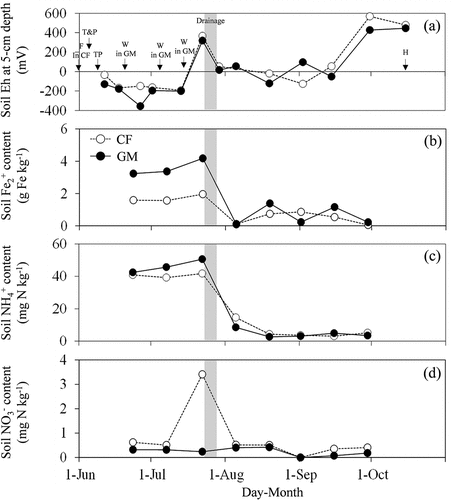 Figure 3. Seasonal variation in soil Eh at 5-cm depth (a), soil Fe2+ (b), NH4+, and NO3− contents in chemical fertilizer (CF) and green manure (G) applied treatments in 2017. F, T, P, TP, W, and H represents chemical fertilizer application, tillage, puddling, transplanting, weeding, and harvest, respectively