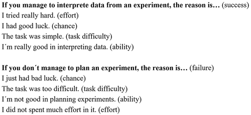 Figure 1. Examples of success and failure related items of the ExCAQ