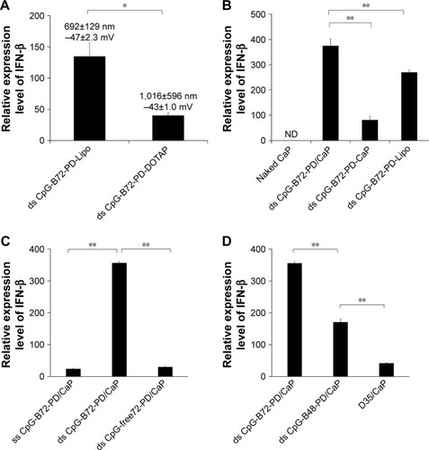 Figure 2 Carrier material determines the induction of IFN-β by ds CpG-B-PD in RAW264 cells.Notes: (A) Lipo is a superior carrier to DOTAP. Data labels show hydrodynamic size and zeta potential. (B) ds CpG-B72-PD entrapped by CaP (ds CpG-B72-PD/CaP) had the highest capacity for inducing IFN-β. ds CpG-B72-PD-CaP, ds CpG-B72-PD adsorbed onto the surface of CaP. (C) CpG-dependent IFN-β induction was higher for ds CpG-B72-PD/CaP than for ss CpG-B72-PD/CaP. (D) Degree of IFN-β induction by ds CpG-B-PD entrapped by CaP depends on the number of CpG motifs. ds CpG-B72-PD and ds CpG-B48-PD contain nine and six CpG motifs, respectively. D35/CaP, D35 entrapped by CaP; D35, conventional CpG-A. Data represent mean ± SD (n=3). *p<0.05 and **p<0.025 (two-tailed unpaired Student’s t-test).Abbreviations: IFN, interferon; ds, double stranded; PD, phosphodiester; CpG-B, class B CpG; Lipo, Lipofectamine 2000; DOTAP, N-[1-(2,3-dioleoyloxy)propyl]-N,N,N-trimethylammonium methyl-sulfate; CaP, calcium phosphate; CpG, cytosine-guanine; ss, single stranded; CpG-A, class A CpG; ND, not detected.