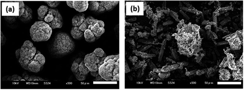 Figure 4. SEM photographs of the reaction products obtained by stopping the reaction at 80°C. (bar = 50 µm). (b). heating rate at 5°C/min, (b) heating rate at 2.5°C/min