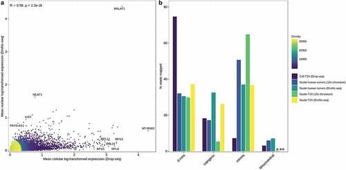 Figure 5. Comparison of gene expression in single nuclei and single cells. a) Scatterplot comparing average gene expression (log-transformed) for single nucleus and single-cell data from T24 human bladder cancer cell line. R = 0.59, p < 2.2e − 16. Pearson correlation was used to determine the correlation coefficient R and p-value. Selected genes significantly expressed in either cells or nuclei are marked in red. Density indicates neighboring data points. b) Fraction of reads mapping to exonic, intronic, intergenic, and mitochondrial regions (out of the reads mapped to the genome) for T24 cells (Drop-seq), T24 nuclei and human tumors (10× chromium and DroNc-seq). % reads for human tumors is an average of sample 48, 72, and 84. Mitochondrial expression in * T24 nuclei (10× chromium) was 0.21% and in ** T24 nuclei (DroNc-seq) was 0.11%. .