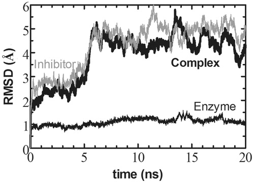 Figure 1. RMSD of the complex as a whole (bold/thick line) as well as that of the enzyme and the inhibitor separately (thin black and gray lines, respectively). We find that the enzyme part of the complex fluctuates around the X-ray structure throughout the length of the MD simulations. The inhibitor displays larger deviation from its initial state within the first 6 ns due to the equilibration period required for the missing residues that were manually modeled into the structure.