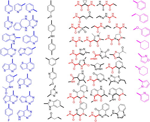 Figure 2. Four structural elements of reported dual c-Met/VEGFR-2 inhibitors.