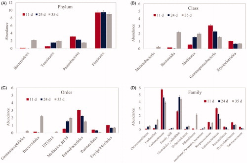 Figure 5. Significant differences (at least p ≤ .05) in the caecal microbiota relating to phylum (A), class (B), order (C), and family (D) abundance in broiler chickens at different ages (11, 24, and 35 days).