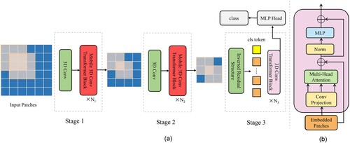 Figure 2. Network overview diagram of MDvT. MDvT consists of three core components: 3D convolution, mobile 3D convolution transformer block, and inverted residual structure.