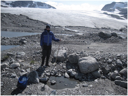 FIGURE 1. An 8-yr-old pond, less than 1 m2 in area and only a few centimeters deep. The soft bottom sediments were rich in chironomid larvae that assimilated ancient carbon.