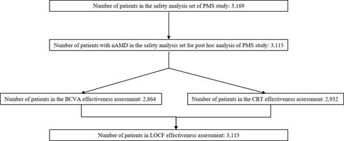 Figure 1 Distribution of patients included in the study.