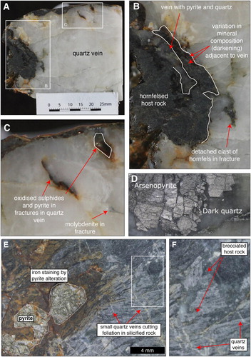 Figure 6. A, A hand specimen quartz vein containing clasts of hornfelsed Greenland Group from within the Argyle Tunnel. B and C, Close up details showing dis-equilibrium textures with the hornfelsed Greenland Group wall rock are highlighted. Sample is from location CAL8 (see Figure 5). D, Arsenopyrite grains are coarse, and grains with originally prismatic morphologies are brecciated. Sample is from location CAL8. E, Polished hand specimen showing pyrite and quartz occurring within brecciated Greenland Group (Grn. Grp.), which is also cut by numerous small quartz veins. Sample is from location CAL9. F, Close-up of the brecciated area in E.
