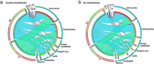 Figure 2. Strain-to-metabolite contributions computed for the 136 microbiomes. (a, b) circos plots on 4932 significantly different strain-to-metabolite contributions (mmol/person/day) summarized separately for the 69 non-IBD and 67 UC microbiomes, shown are the seven most prominent phylum-level contributions to all metabolites summarized by metabolite subsystem. Fi = Firmicutes, Ba = Bacteroidetes, Ac = Actinobacteria, Pr = Proteobacteria, Ve = Verrucomicrobia, Ca = candidatus melainabacteria, sy = synergistetes, Eu = Euryarchaeota.