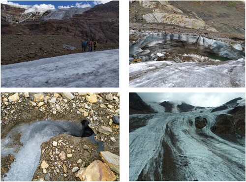Figure 2. Example of surface characteristics of Forni Glacier: the medial moraine (top left), a collapse at the terminus (top right), supraglacial stream and small moulin with evidence of debris-cover (bottom left), crevasses and debris cover on the glacier tongue (bottom right).