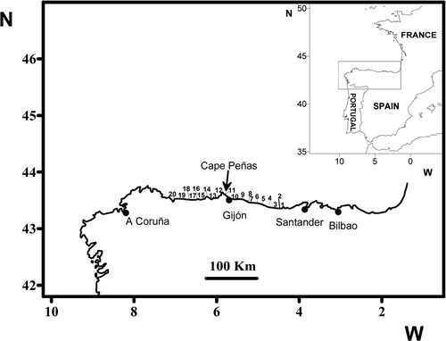 Fig. 1. Map of the northern Iberian Peninsula showing the 20 intertidal sites sampled between Buelna (1) and Arnao (20). Site 11 is Aramar beach.