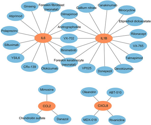 Figure 7 Drug-gene interaction network of target genes. Drugs are in blue, and target genes are in Orange.