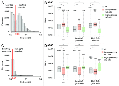 Figure 1. Relationship between promoter or gene-body methylation and gene expression in ADSCs. (A) Promoter CpG content in the human genome. Low- and high-CpG promoters were divided by the threshold of 0.03. (B) The FPKM distributions are shown for all genes, as well as those in the lowest 10% with respect to mC ratio, and those in the highest 10%. P values were calculated by the Wilcoxon rank sum test. (C) Gene-body CpG content in the human genome. (D) Analysis similar to that described for (B) was performed for the mC ratios calculated from gene bodies. Symbols *: P < 0.05; **: P < 10−3. Box: 25–75th percentile. The number of plotted genes is shown above each whisker. Genes with no expression in all the three cell types were excluded from the analysis.