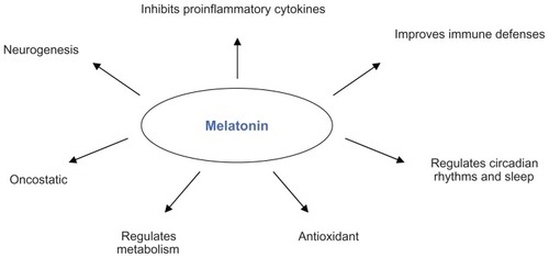 Figure 1 Schematic representation of the main effects exerted by melatonin.