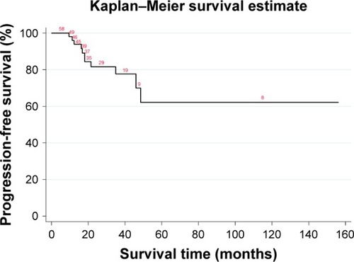 Figure 3 Kaplan–Meier progression-free survival curve.