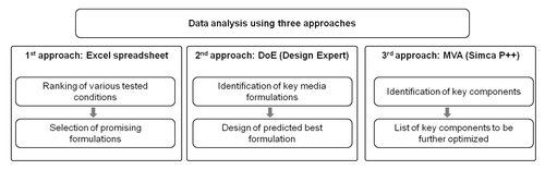 Figure 4. Data analysis process. Three strategies were applied: 1st level of analysis in Excel: determination of an improvement score for each output vs control, a global score for each mixture and a rank to select best conditions; 2nd level of analysis by Design Expert, modeling each output to predict best formulation; 3rd level of analysis: multivariate analysis using SIMCA-P++ to identify key components.