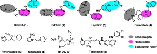 Figure 1 Structures/depicted binding models of EGFR inhibitors (1–4, the depicted binding models of inhibitors with EGFR are shown in different colors), structures of 2-nitroimidazole derivatives (5 and 6) and clinically studied hypoxia-activated compounds (7 and 8).