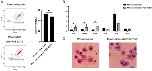 Figure 4 Inhibiting CD73 improves the anti-tumor immunity in BM immune cells isolated from patients with MM. BMMCs from patients were either untreated or treated with 10 μg/mL PSB-12379 for 12 h. (A) Flow cytometry analysis showing the residual CD138+ cells in the BMMCs culture of the groups treated with or without PSB-12379. The bar graph shows the quantitative comparison of the residual CD138+ cells in the BMMCs culture in the two groups. (B) Levels of IL-2, TNF-α, IFN-γ, IL-4, IL-6, and IL-10 in cells treated with or without PSB-12379. (C) The number of monocytes that underwent phagocytosis in myeloma cells was not significantly different between PSB-12379-treated and untreated groups; *P < 0.05.