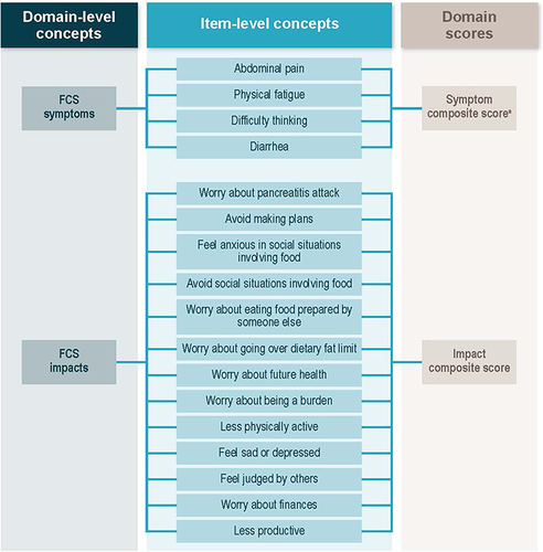 Figure 1 Conceptual Framework for the FCS-SIS. aThe 4 FCS symptom items can be interpreted individually.