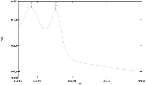 Figure 5. Absorption spectrum of 800 µl of 16 mM OxyHb in 10 Mm phosphate buffer at pH 7.6 with 100 µl of 20 mg/ml LAFRF for 3 h at 25°C.