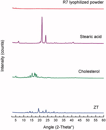 Figure 7. XRD spectra of the samples.