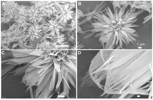 Figure 6 Scanning electron microscopy images of hierarchically nanostructured hydroxyapatite prepared by hydrothermal method at 200°C for 12 hours (sample 2).