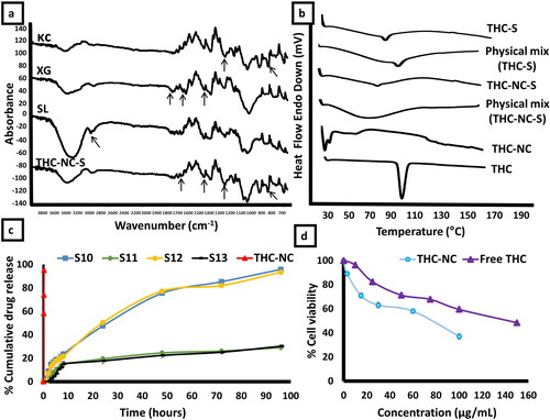 Figure 6. (a) FTIR spectra of κc, XG, SL and THC-NC-S (S10), (b) DSC comparing thermograms of THC-S (S11), THC-NC-S (S10) and their physical mixtures to THC and THC-NC in terms of thermal behavior, (c) Release profile of THCmfromnTHC-NC-SmS10 (κc/XG),kS12 (κc/HPMC K15M),kTHC-Sk(S11(κc/XG)), S13 (κc/HPMC K15M), and THC-NC in PB (pH 6.8), containing 0.25% of SLS using membraneless method, (d) Cell viability of SCC-4 after exposure to THC-NC and free THC for 24 h.