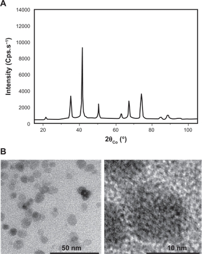 Figure 1 Nanoparticles exhibit spherical shapes. A) Polyol-made iron oxide powder consists of maghemite nanocrystals as shown by their broadened X-ray diffraction pattern. B) Fe2O3 iron oxide nanoparticle morphology was observed by transmission electron microscopy on a collection of as-produced particles (left image). A zoom on one representative particle is shown (right panel).