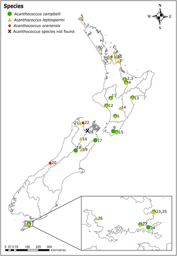 Figure 2. The distribution of Acanthococcus species present on samples of L. scoparium collected between March 2015 and January 2017. Numbers refer to locations outlined in Table1; 1–15: North Island locations, 16–22: South Island locations, 23–27: Stewart Island locations.